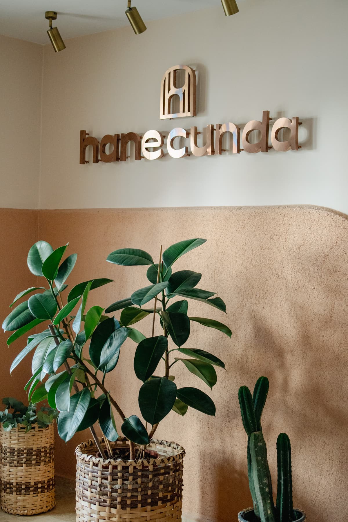 Hane Cunda ve Minimallik
